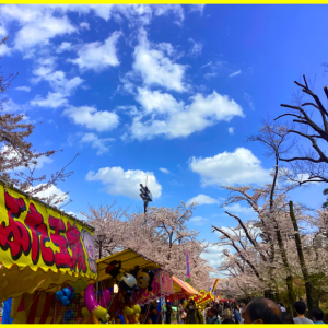 八王子市の富士森公園　お花見屋台！～2023年～